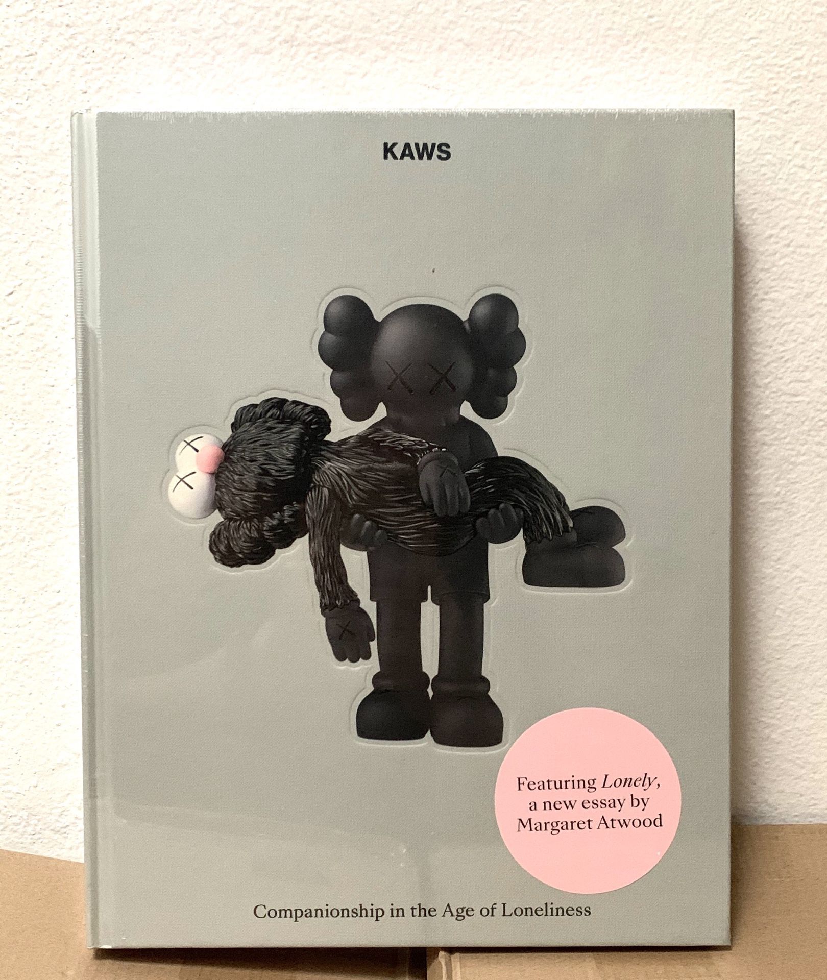 Kaws Companionship Book