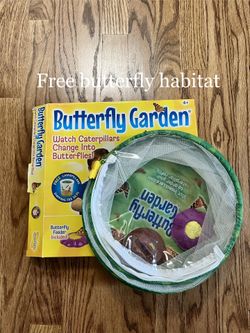 Free Insect Lore Butterfly Garden