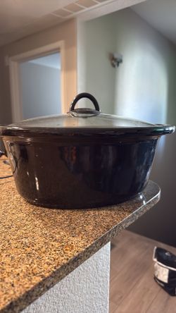Crockpot 6qt Replacement liner And Top