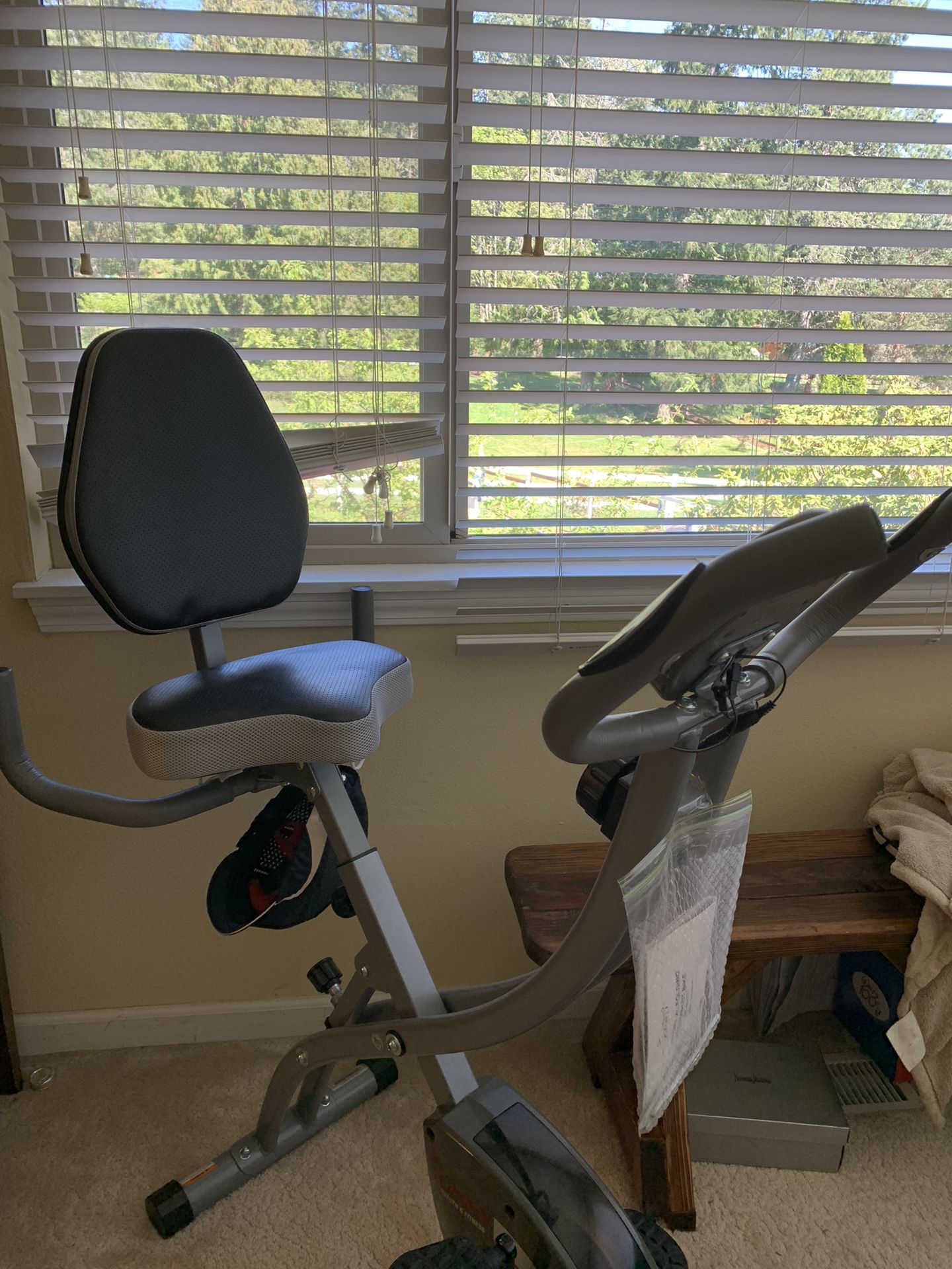 Sunny XL Folding Recumbent Bike