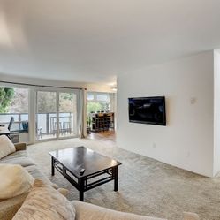 55” TV And Swivel Extension Wall Mount