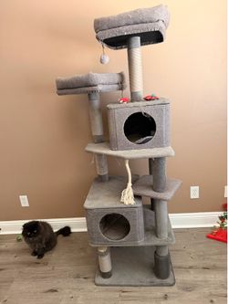 Used cat trees $100 for 2