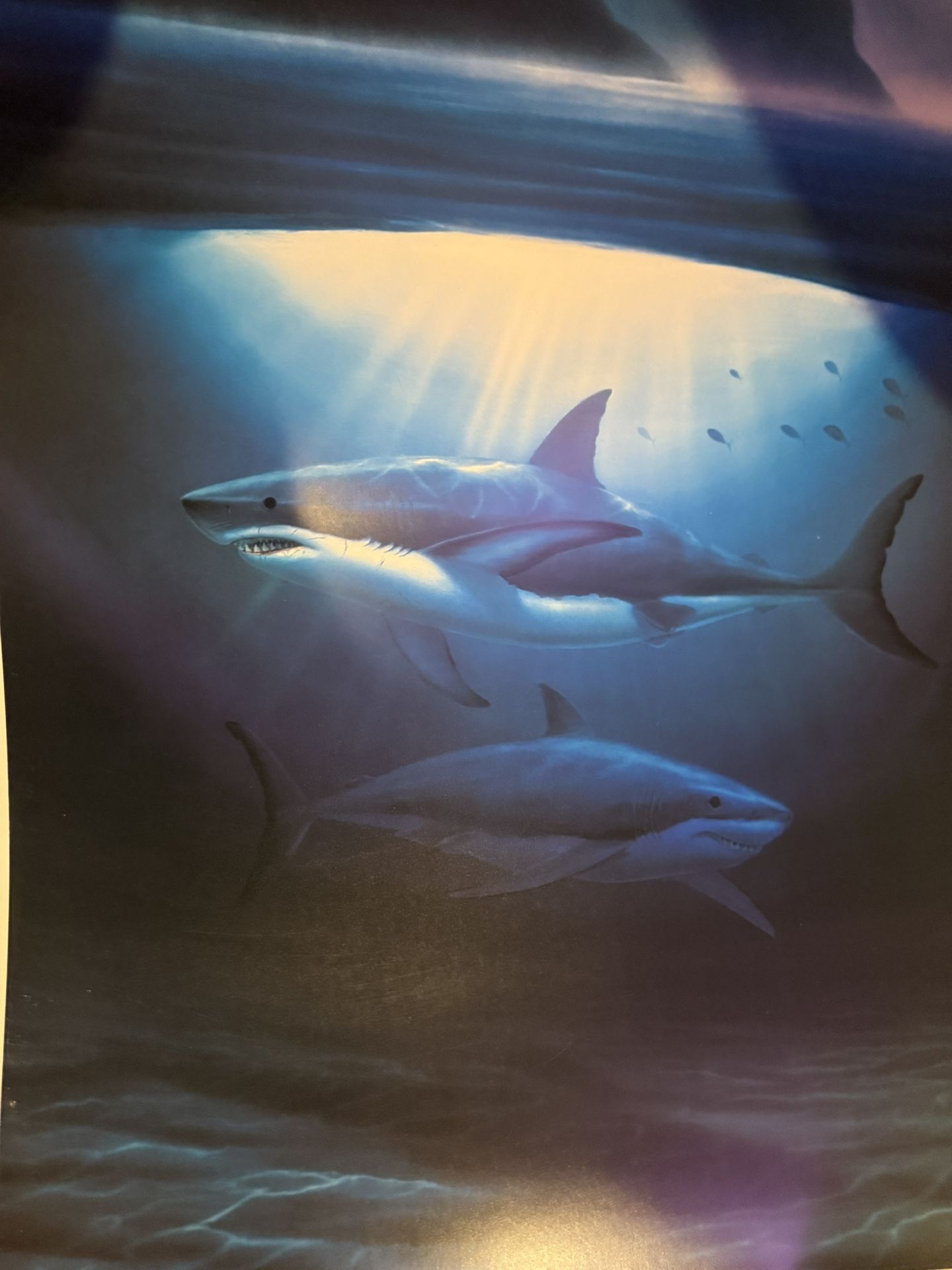 “Great White Sharks” Numbered and Signed by Robert Wyland