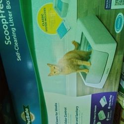 Pet safe Scoop Free Self-cleaning Litter Box
