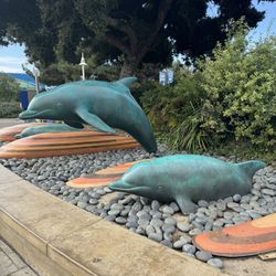 ☀️🐬 X13 SEAWORLD 🎟️🌊