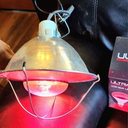 Chick Heat Lamp or Light