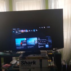 Insignia Roku TV Undamaged