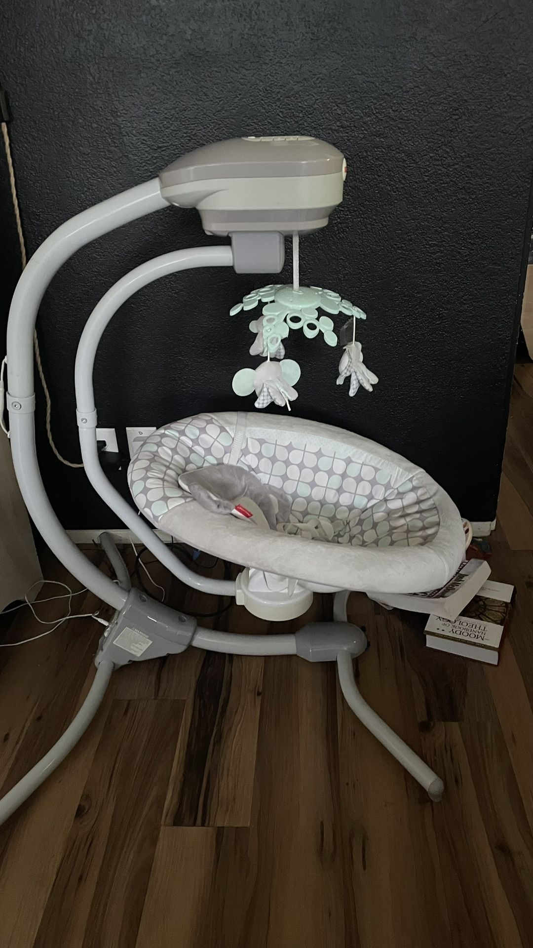 Baby Swing & Pack N Play