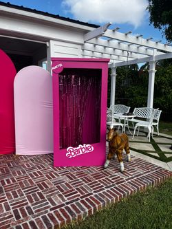 6ft Barbie box photo prop
