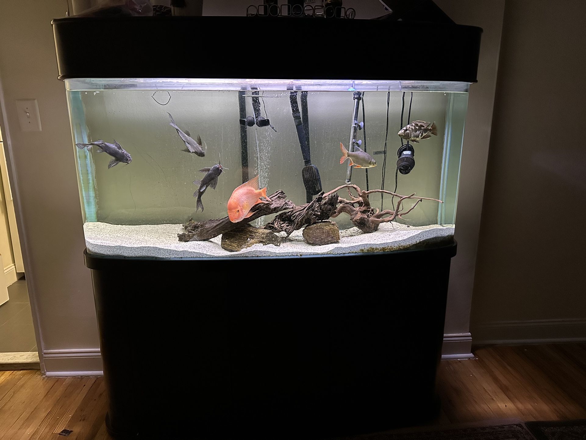 Fish Tank With Stand And Canopy
