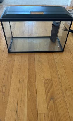 10 Gallon Tank With Filter And Led With Lights