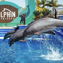 Seaworld tickets