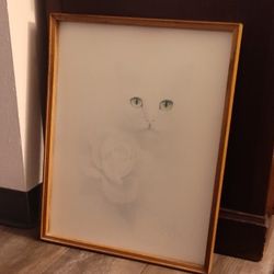 Cat Picture. 