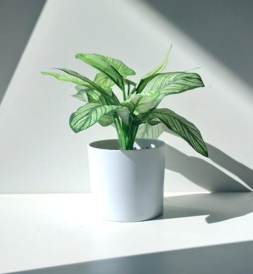 Artificial Prayer Plant Faux Indoor house pot planter green flower Home House Decor 