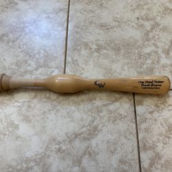 CamWood Training Bats Combo