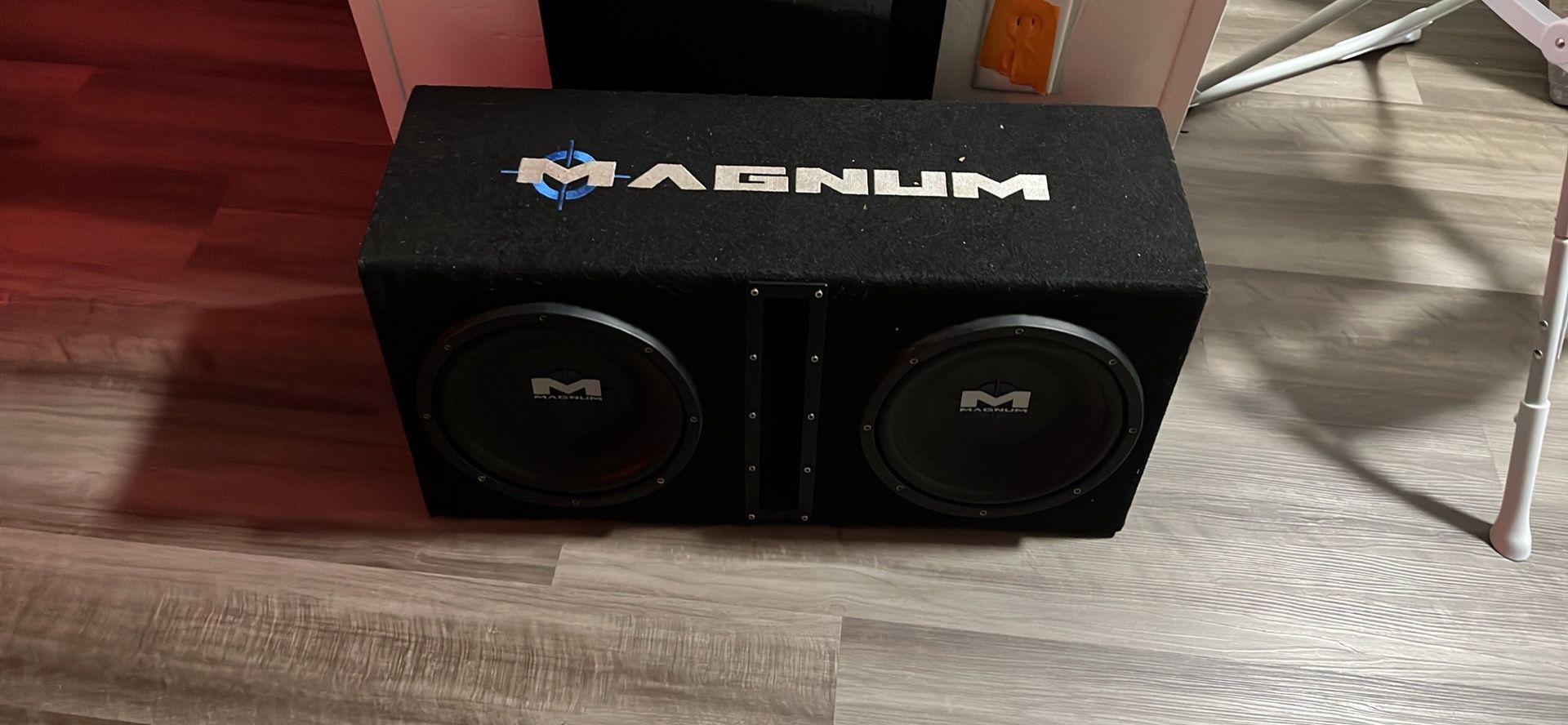 Magnum Speakers 10