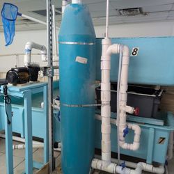 Protein Skimmer For Water Tank