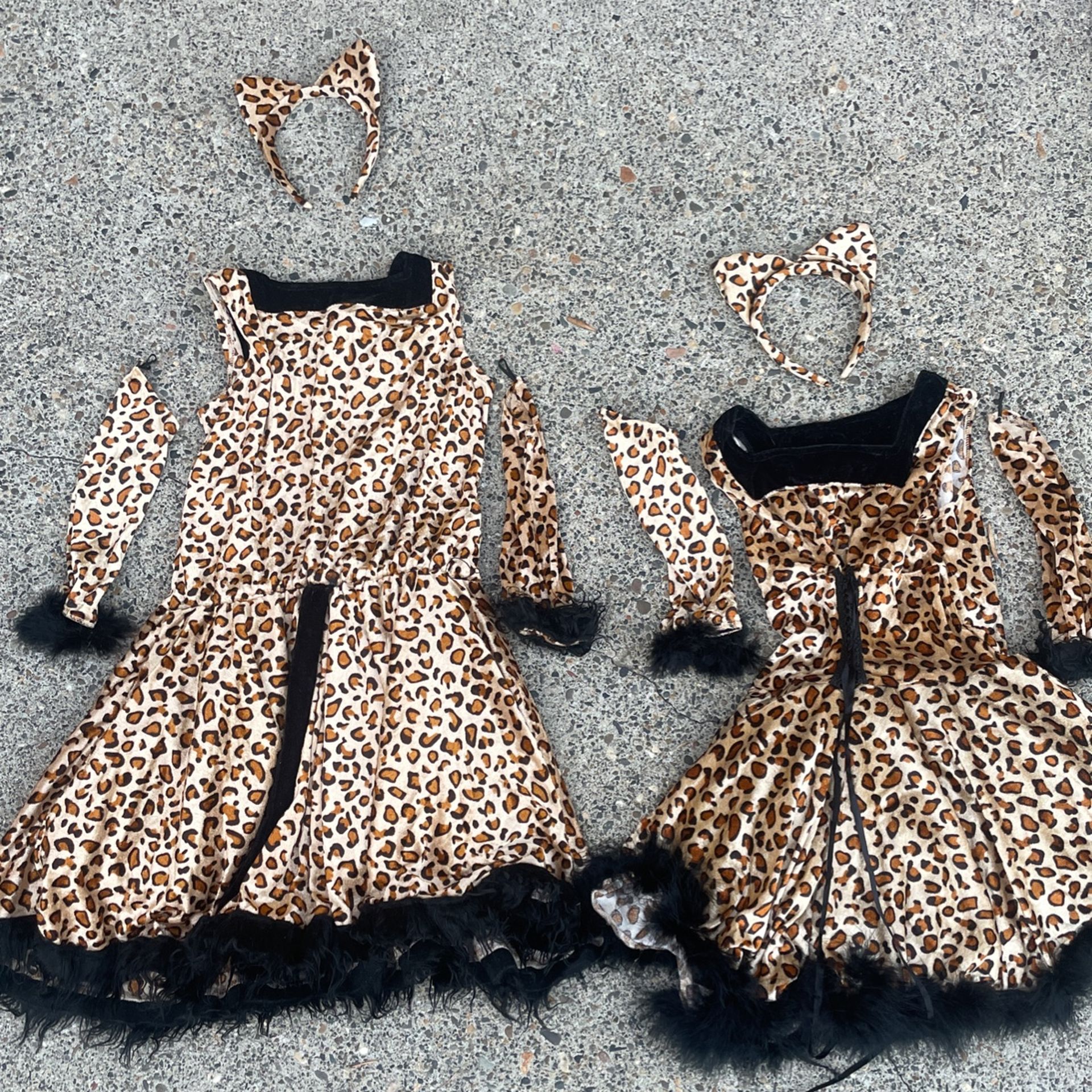 2 Cheetah Costumes