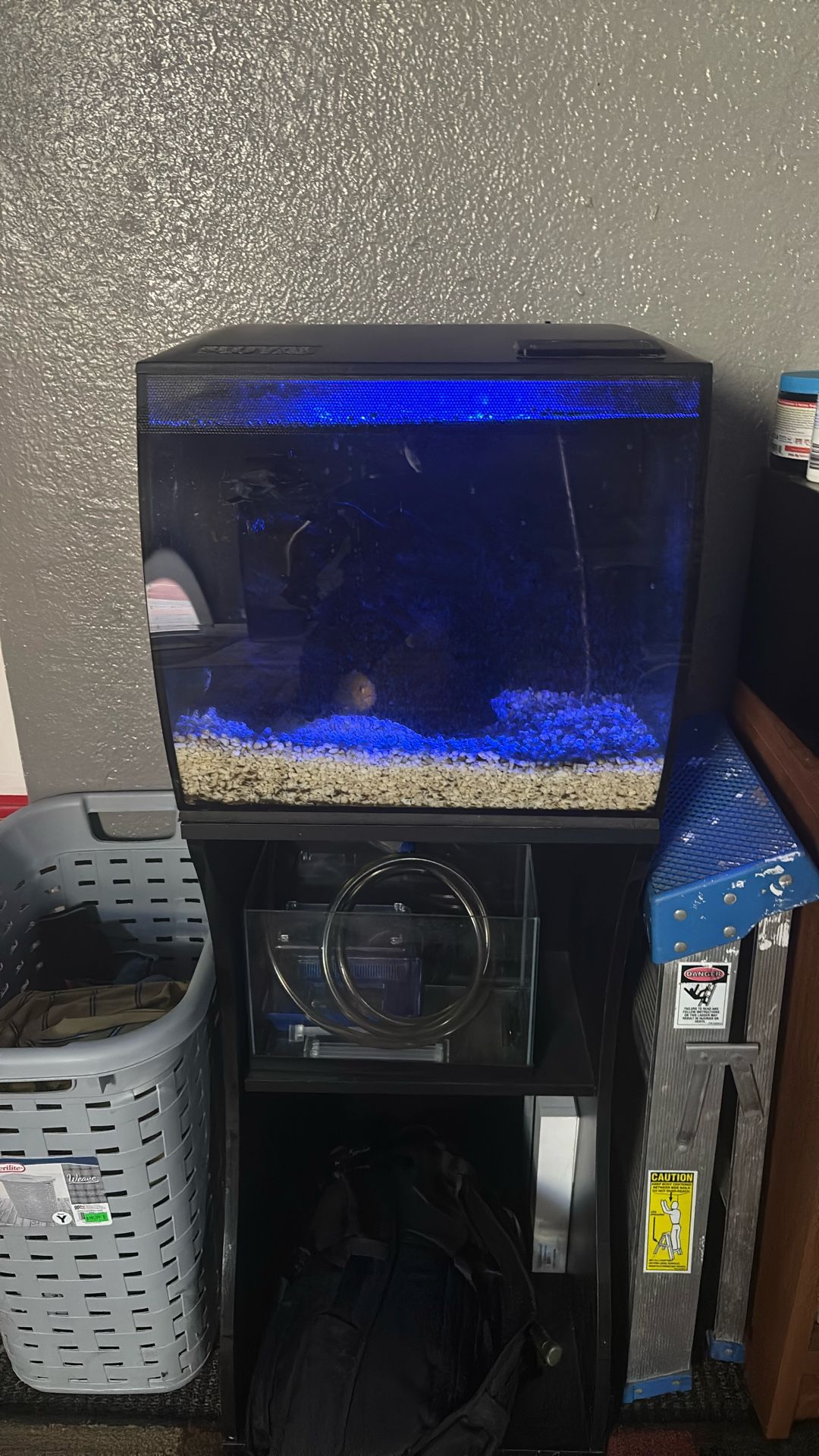 Fish Tank
