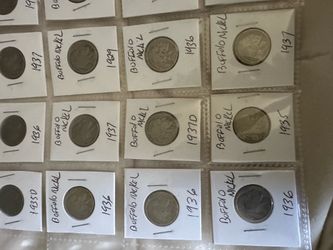 18 Bufalo nickels