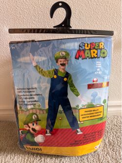 Super Mario Luigi Costume