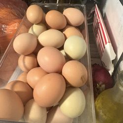 Organic Eggs 