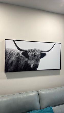 Bull Canvas N Frame 24x48”