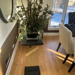 Pedestal Plant Stand With Plant