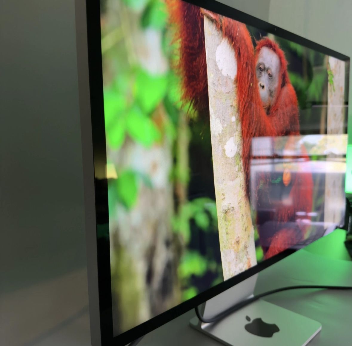 Apple Studio Display 27 inch, Tilt Adjustable Standard Glass Computer Monitor Screen