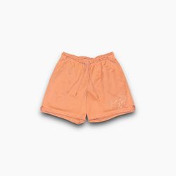 Air Jordan Essentials Graphic Mesh Shorts Peach Men’s Large DH9048 824 