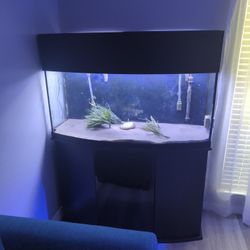 72 Gallon Bowfront Tank
