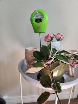 GROWiT Soil Moisture Meter
