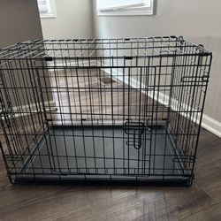 Dog Crate 