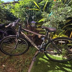 Schwing Pathway Bike