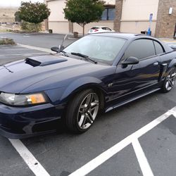 03 GT New Edge Mustang 