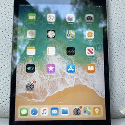 Ipad Mini 2