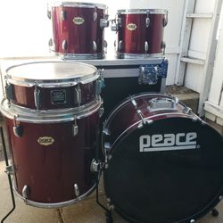 5 Piece Drum Set