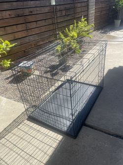 Dog Crate