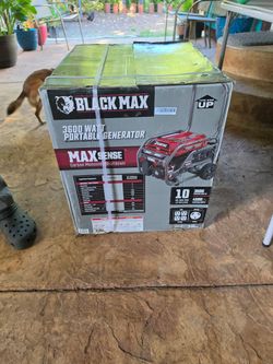 Black Max 5,500 / 6,875 Watt Portable Gas Generator