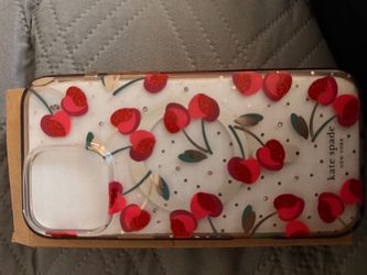 Used iPhone 16 Pro Max Case