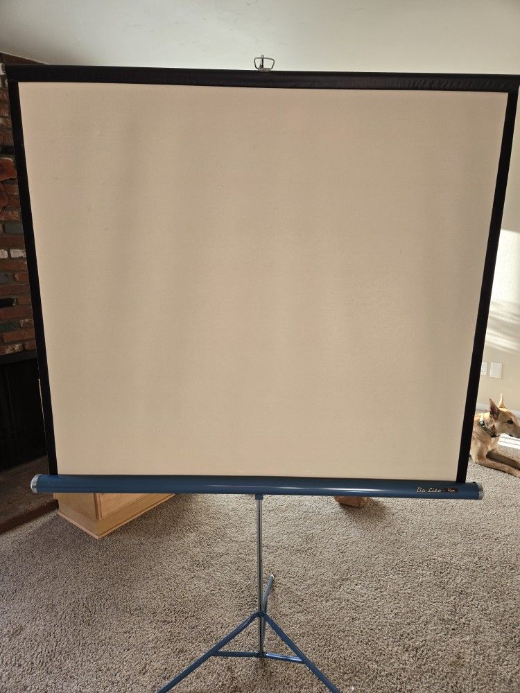Projection Screen