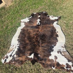 Authentic LARGE Cowhide 