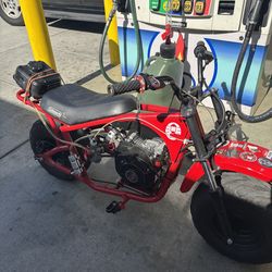 Coleman minibike