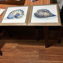 Pair Sea Shell Framed Art