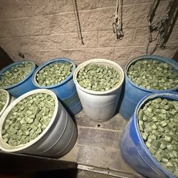 Horse Food / Alfalfa Cubes / Cubo