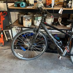 Trek Bike For Sale