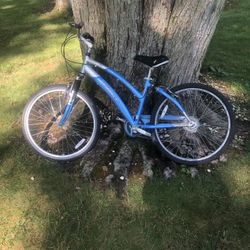 26” Cruiser Bike 