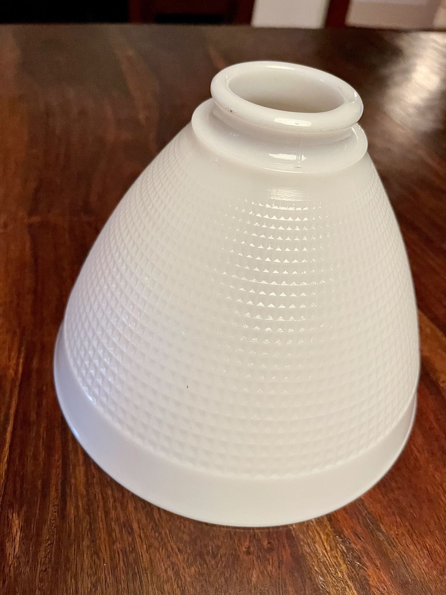 Vintage Glass Lamp Shade or Light Globe