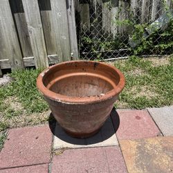 Flower Pot 