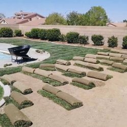 Sod Plant Free E S T I M A T E !